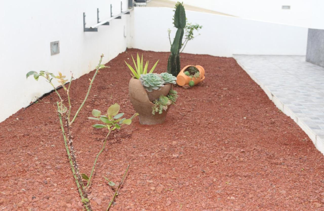 Villa Casa Do Adro -Granel Nordeste  Esterno foto